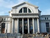 スミソニアン自然史博物館