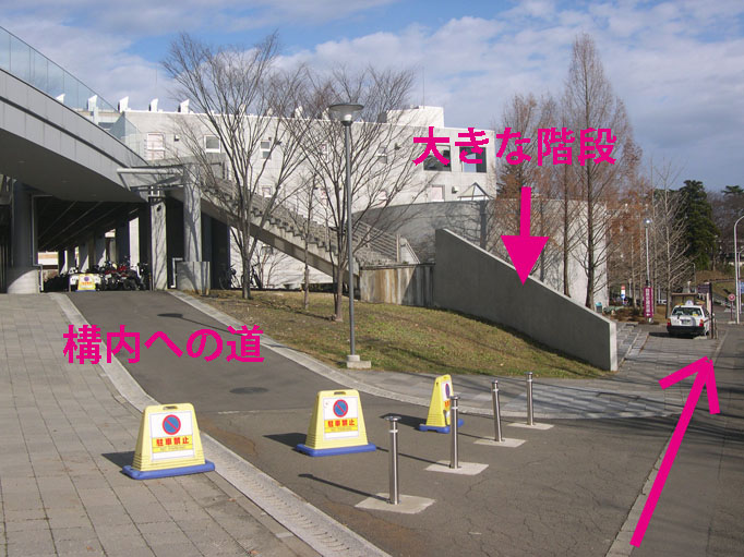 少し歩くと、構内へ入る道と大きな階段がでてきます。それらを通り過ぎれば・・・