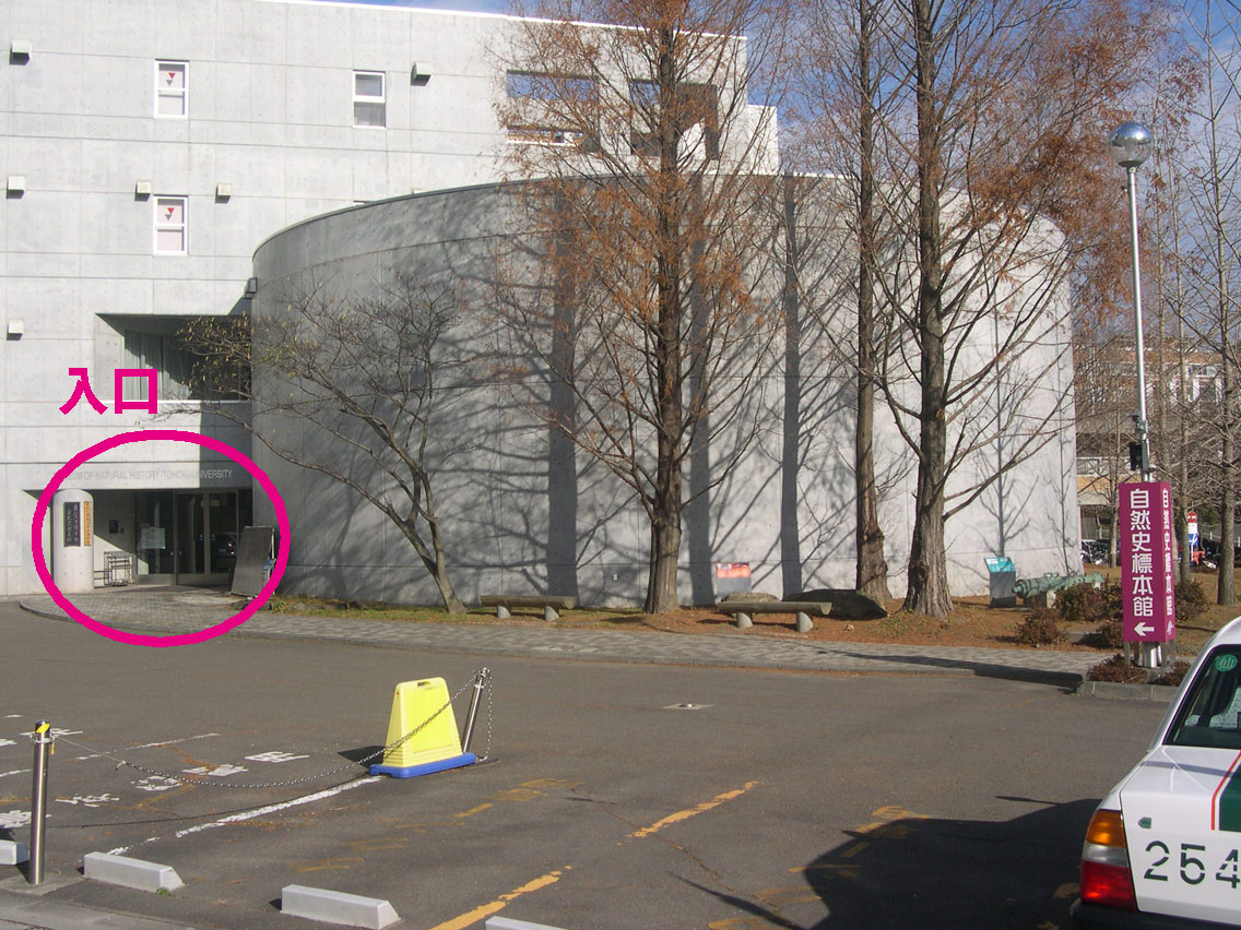 自然史標本館に到着です。北1出口より3分ほどです。入口は写真の左側にあります。